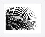 Palms 10  (Framed) -  Jamie Kingham - McGaw Graphics