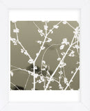 Autumn Branch (tan) (square crop)  (Framed) -  Jenny Kraft - McGaw Graphics
