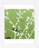 Autumn Branch (green) (square crop)  (Framed) -  Jenny Kraft - McGaw Graphics