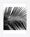 Palms 10 (detail)  (Framed) -  Jamie Kingham - McGaw Graphics