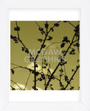 Autumn Branch (sepia) (detail)  (Framed) -  Jenny Kraft - McGaw Graphics