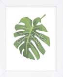 Philodendron 1  (Framed) -  Jenny Kraft - McGaw Graphics