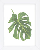 Philodendron 2  (Framed) -  Jenny Kraft - McGaw Graphics