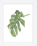 Philodendron 3  (Framed) -  Jenny Kraft - McGaw Graphics