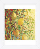 Four Lemons (Framed) -  Jennifer Lommers - McGaw Graphics