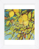 The Lemons Above (Framed) -  Jennifer Lommers - McGaw Graphics