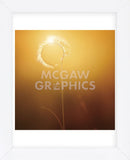 Gilly (Framed) -  Bob Larson - McGaw Graphics