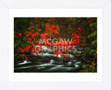 Fall in Smokies (Framed) -  Robert Lott - McGaw Graphics