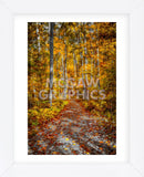 Ohiopyle Path (Framed) -  Robert Lott - McGaw Graphics