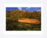 Hay Bales (Framed) -  Robert Lott - McGaw Graphics