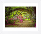 Magnolia Gardens (Framed) -  Robert Lott - McGaw Graphics