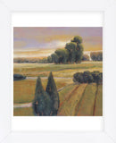 Summer Cypress   (Framed) -  Adina Langford - McGaw Graphics