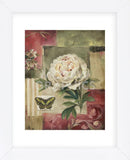 Peony and Butterfly (Framed) -  Lisa Audit - McGaw Graphics