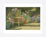 Potted Flowers (Framed) -  Allan Myndzak - McGaw Graphics