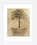 Victorian Topiary  (Framed) -  Pyper Morgan - McGaw Graphics