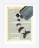 Flutter Flask (Framed) -  Marion McConaghie - McGaw Graphics