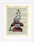 Cocatoo on Telephone (Framed) -  Marion McConaghie - McGaw Graphics