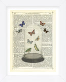 Butterfly Dome (Framed) -  Marion McConaghie - McGaw Graphics