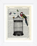 Bird Cage and Parrot (Framed) -  Marion McConaghie - McGaw Graphics