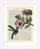 Hummingbird & Flower (Framed) -  Marion McConaghie - McGaw Graphics