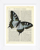 Angled Butterfly (Framed) -  Marion McConaghie - McGaw Graphics