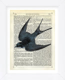 Blue Bird (Framed) -  Marion McConaghie - McGaw Graphics