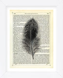 Feather (Framed) -  Marion McConaghie - McGaw Graphics