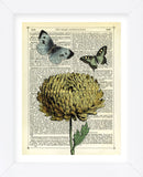 Flower & Butterflies (Framed) -  Marion McConaghie - McGaw Graphics