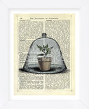Plant Pot in Glass Cloche (Framed) -  Marion McConaghie - McGaw Graphics