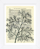 Twigs 1 (Framed) -  Marion McConaghie - McGaw Graphics
