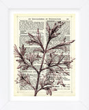 Twigs 3 (Framed) -  Marion McConaghie - McGaw Graphics