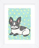 Boston Terrier (Framed) -  My Zoetrope - McGaw Graphics