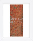 Elements (Orange) (Framed) -  J. McKenzie - McGaw Graphics