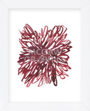 Abstract Dahlia (Framed) -  Kiana Mosley - McGaw Graphics