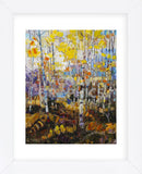 Aspen Impressions (Framed) -  Robert Moore - McGaw Graphics