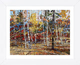 Glory of Autumn (Framed) -  Robert Moore - McGaw Graphics