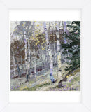 Aspens (Framed) -  Robert Moore - McGaw Graphics