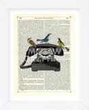 Birdcall (Framed) -  Marion McConaghie - McGaw Graphics