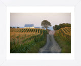 Going Places (Framed) -  Orah Moore - McGaw Graphics