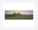 Somerset Sunrise  (Framed) -  David Noton - McGaw Graphics