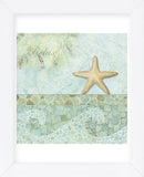 Spa Shells II (Framed) -  NBL Studio - McGaw Graphics