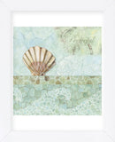 Spa Shells III (Framed) -  NBL Studio - McGaw Graphics