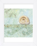 Spa Shells IV (Framed) -  NBL Studio - McGaw Graphics