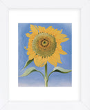 Sunflower, New Mexico, 1935  (Framed) -  Georgia O'Keeffe - McGaw Graphics