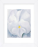 White Pansy, 1927  (Framed) -  Georgia O'Keeffe - McGaw Graphics