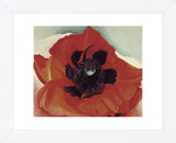 Poppy, 1927  (Framed) -  Georgia O'Keeffe - McGaw Graphics