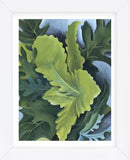 Green Oak Leaves, 1923  (Framed) -  Georgia O'Keeffe - McGaw Graphics