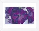 Petunias, 1925  (Framed) -  Georgia O'Keeffe - McGaw Graphics