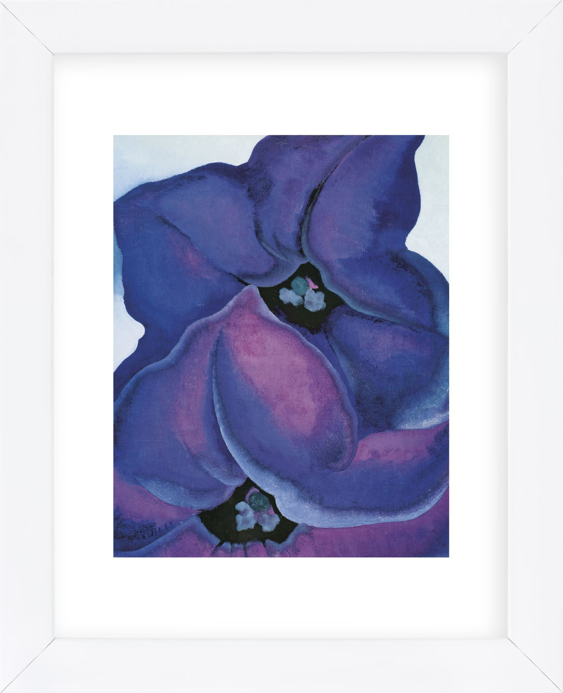 Black and Purple Petunias/オキーフ/ポスター RFWHT-O384pf.jpg?v=1600742630