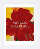 Red Amaryllis, 1937 (Framed) -  Georgia O'Keeffe - McGaw Graphics